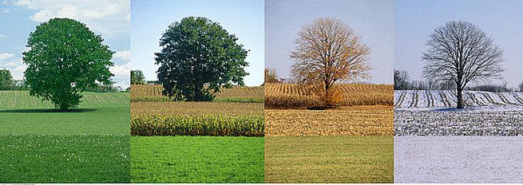 《星球大战：亡命之徒》评论将于8月26日开放