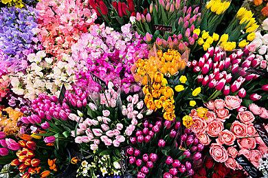 《全面战争：战锤3》公布变革之影DLC 预告片分享