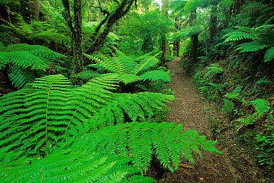 《超级马里奥RPG：重制版》介绍影片 11月17日发售